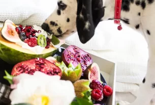 10 alimentos poderosos que todo dono de cão deve saber