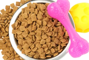 Nutri Pet: Guia essencial para escolher a melhor ração