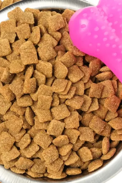 Nutri Pet: Guia essencial para escolher a melhor ração