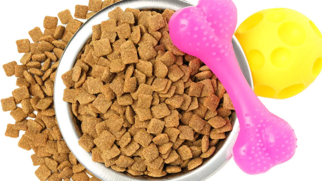 Nutri Pet: Guia essencial para escolher a melhor ração